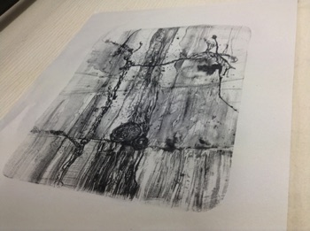 Print by Linda Davies
Stone Lithography Class at 
The Gas Studio